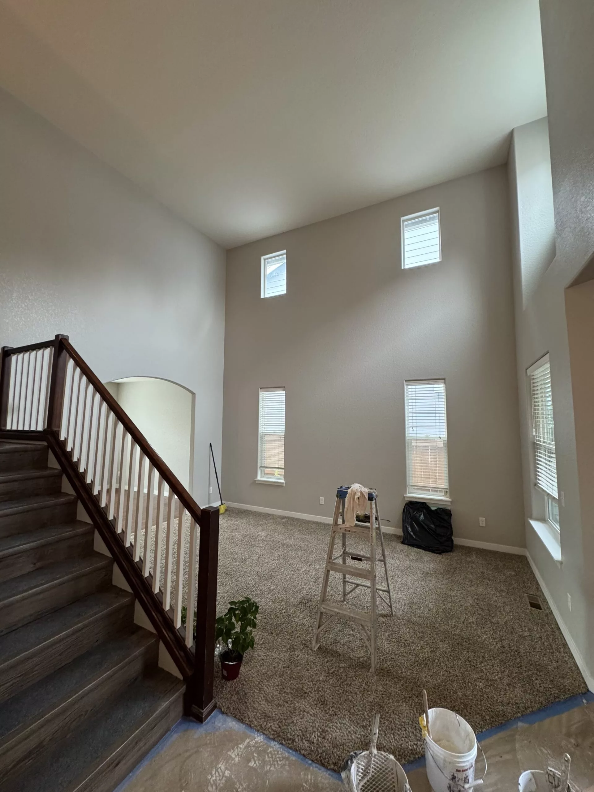 Before image